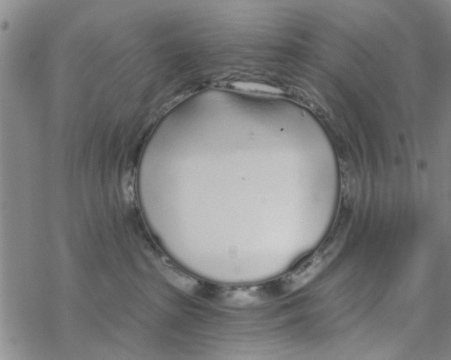 X0000068730285200605262033