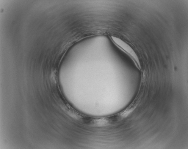 X0000068730286200605262033