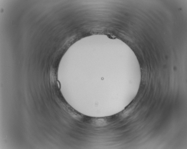 X0000068730287200605262033