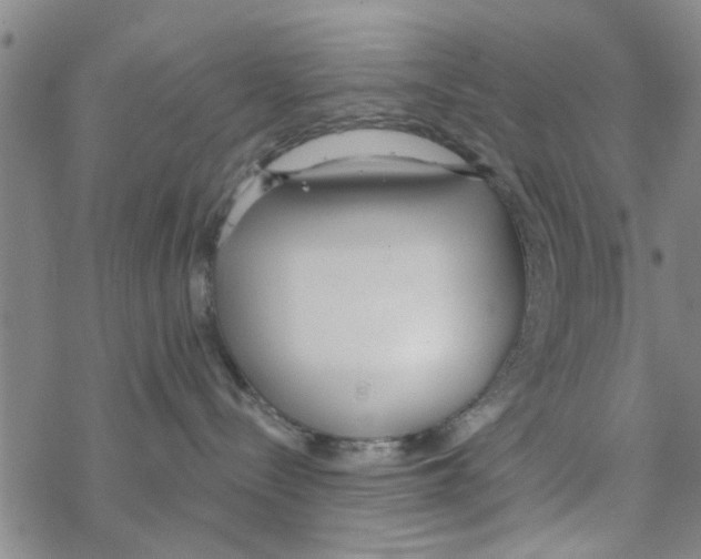 X0000068730288200605262033