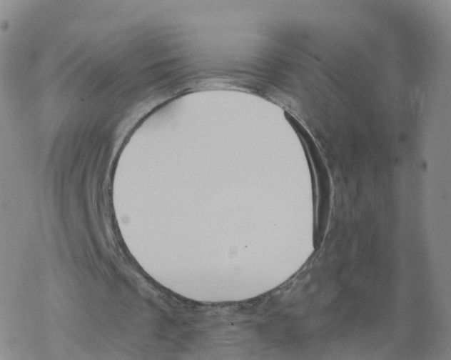 X0000068730289200605262033