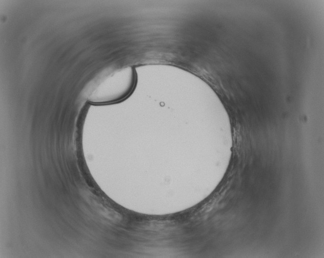 X0000068730292200605262033