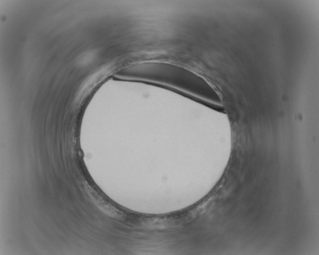 X0000068730293200605262033