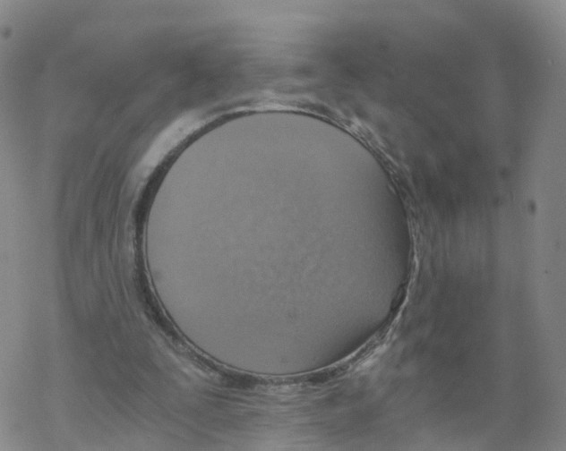 X0000068730295200605262032