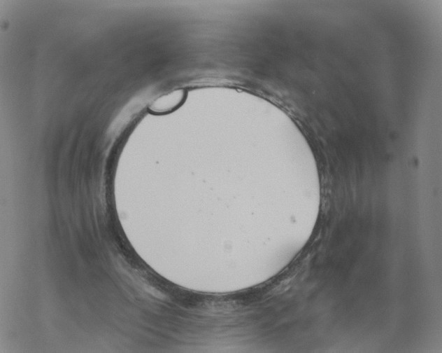 X0000068730296200605262032