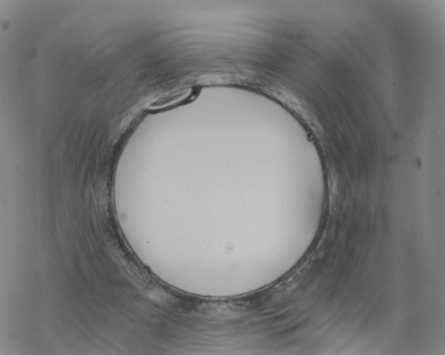 X0000068730297200605262032