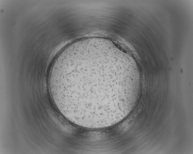 X0000068730298200605262032