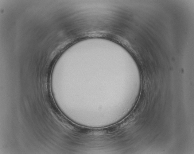 X0000068730299200605262032