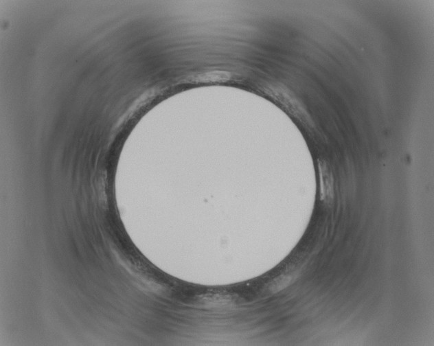 X0000068730300200605262032