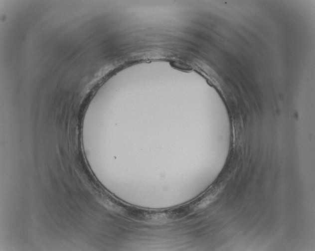 X0000068730301200605262032