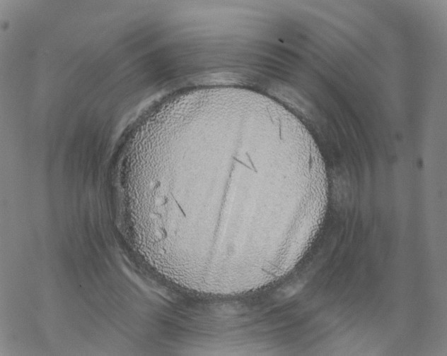 X0000068730302200605262032