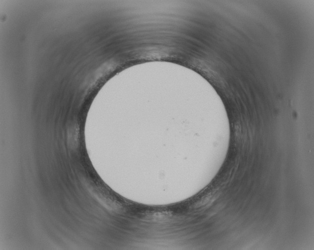 X0000068730304200605262032