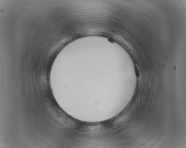 X0000068730306200605262032