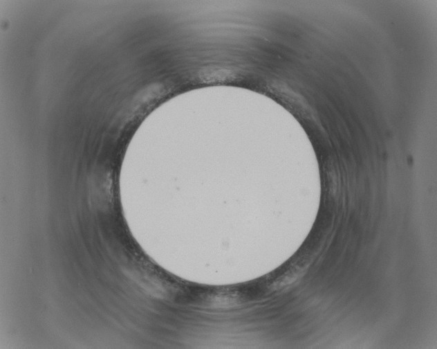 X0000068730308200605262032