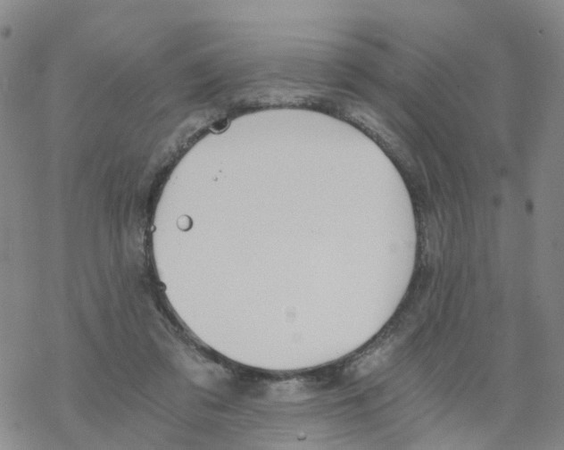 X0000068730309200605262032