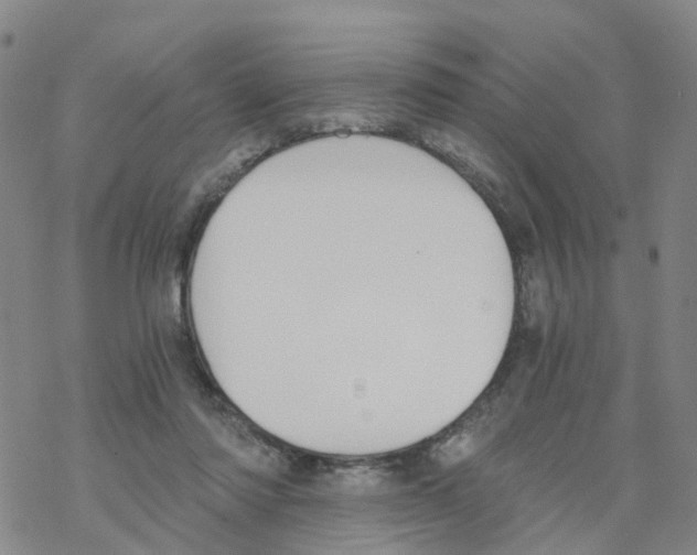 X0000068730310200605262032