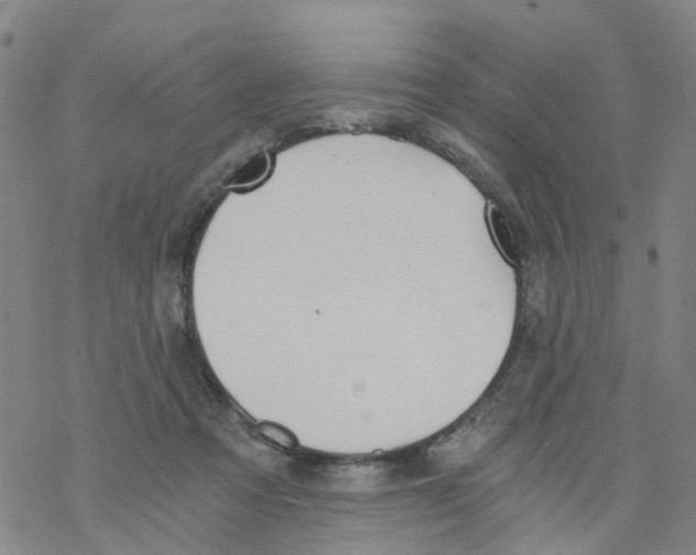 X0000068730313200605262032