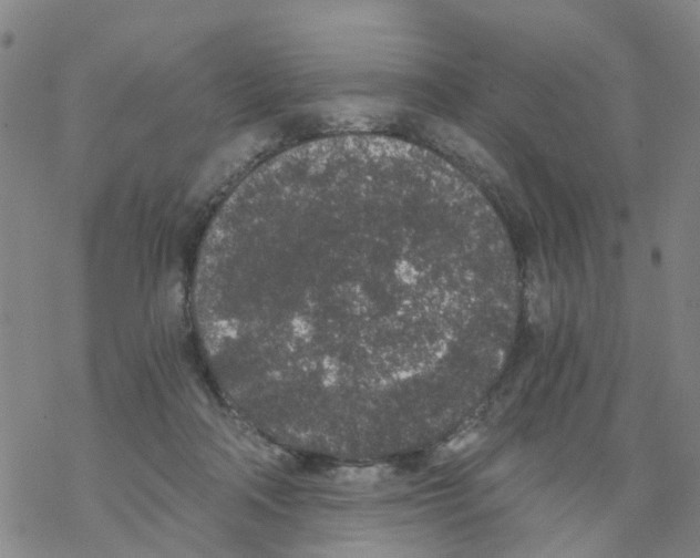 X0000068730314200605262032