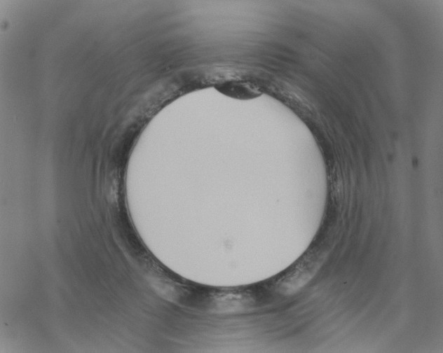 X0000068730315200605262032