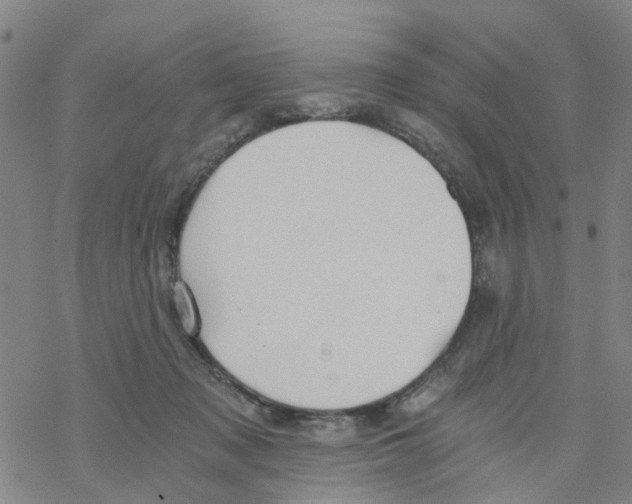 X0000068730317200605262032