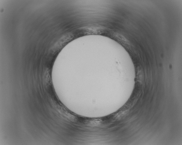 X0000068730318200605262032