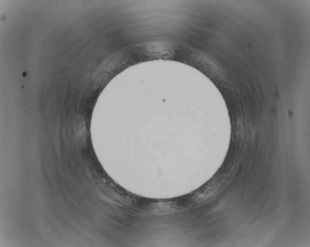 X0000068730320200605262032