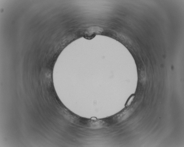 X0000068730321200605262032