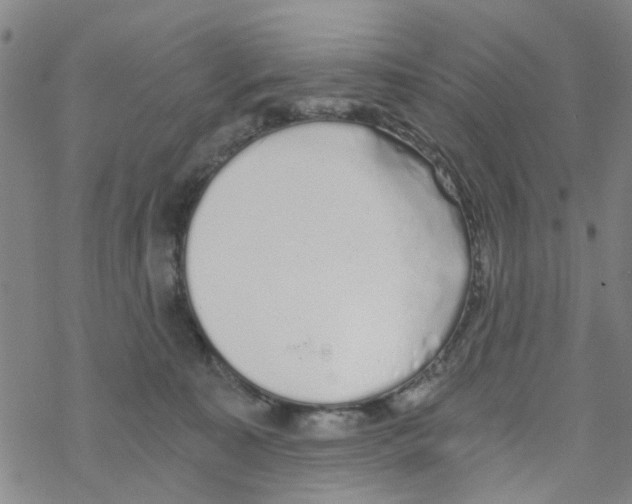 X0000068730323200605262032