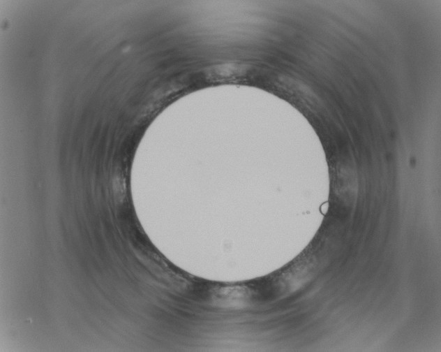 X0000068730324200605262032