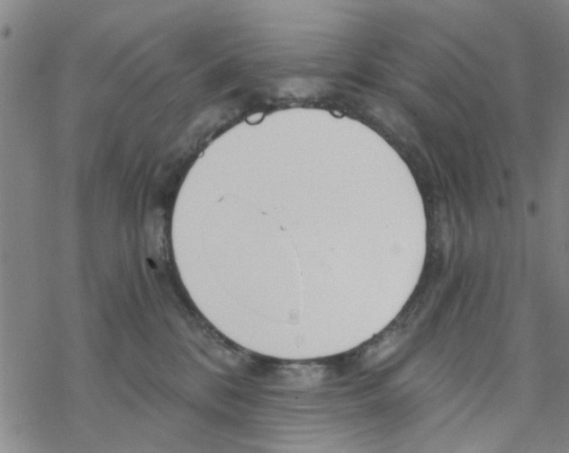 X0000068730328200605262032