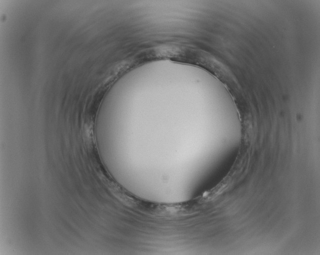 X0000068730329200605262032