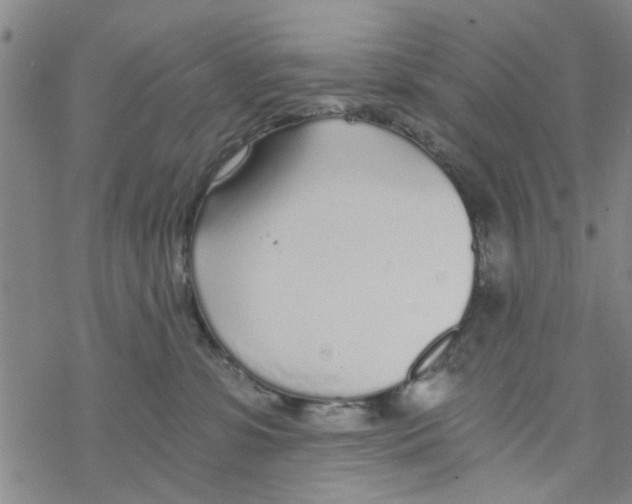 X0000068730331200605262032