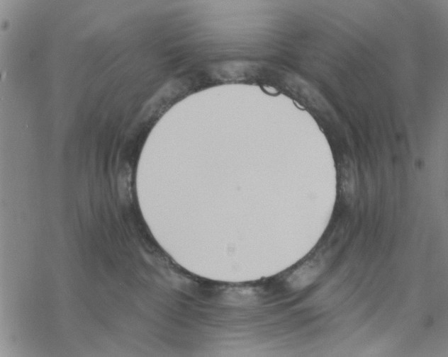 X0000068730332200605262032