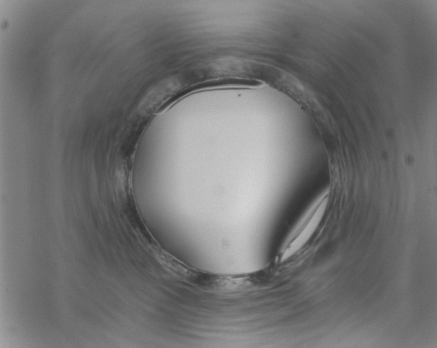 X0000068730333200605262032