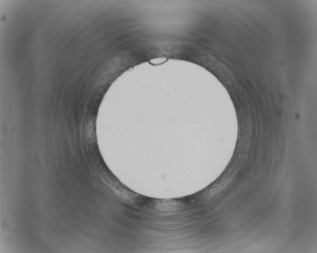 X0000068730336200605262032