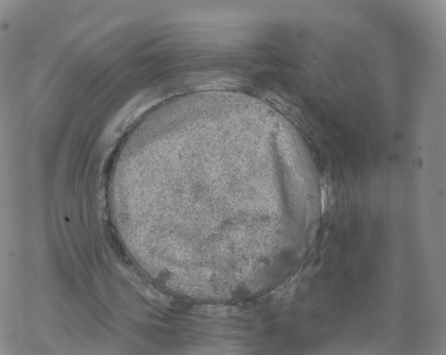 X0000068730339200605262031