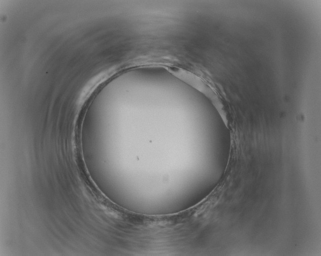 X0000068730340200605262031