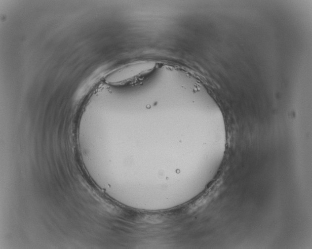 X0000068730341200605262031