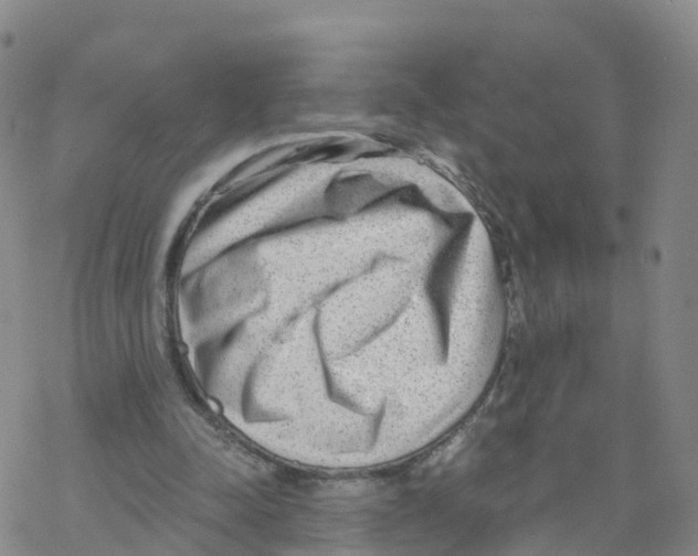 X0000068730342200605262031