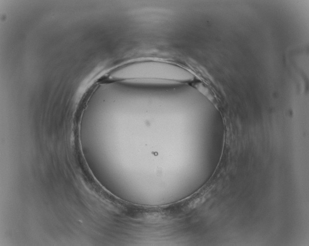 X0000068730344200605262031