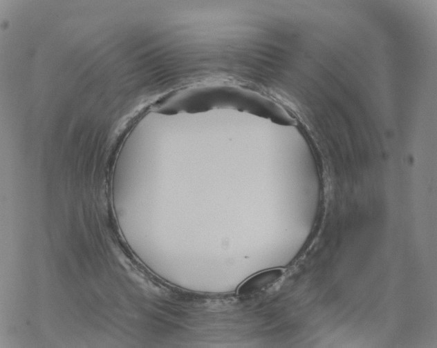 X0000068730345200605262031