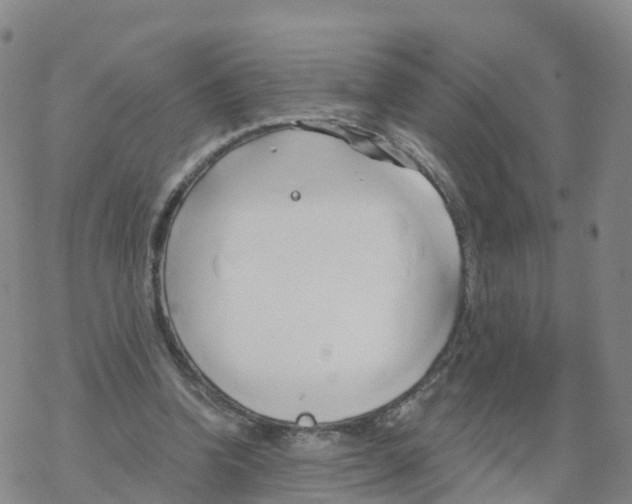 X0000068730346200605262031