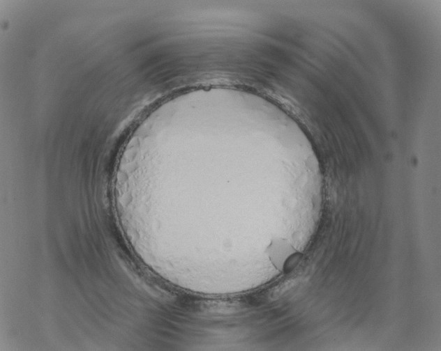 X0000068730347200605262031