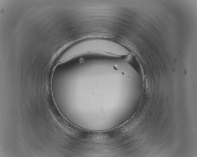 X0000068730348200605262031