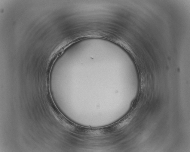 X0000068730349200605262031