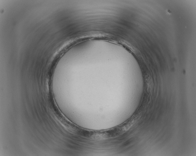 X0000068730350200605262031