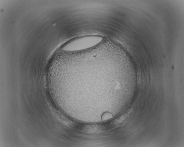 X0000068730351200605262031