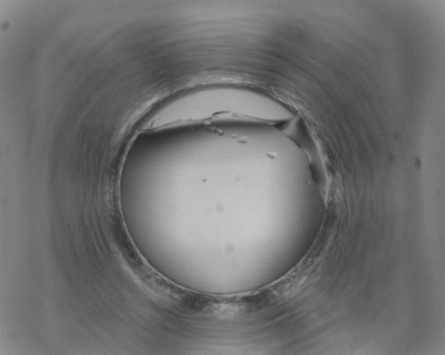 X0000068730352200605262031