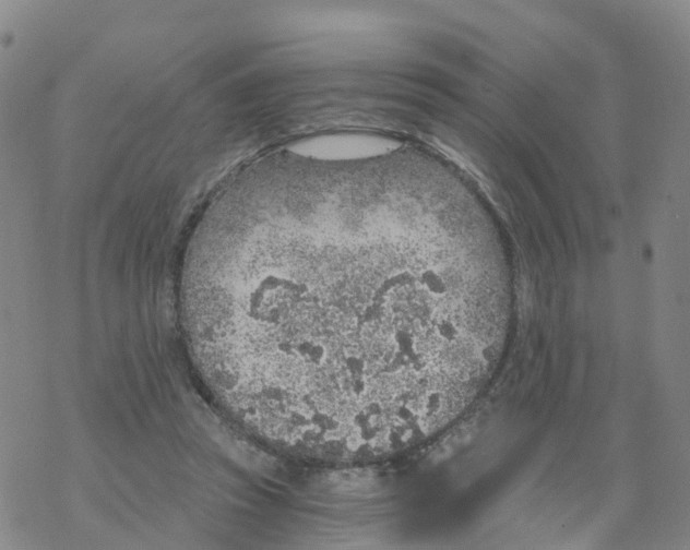 X0000068730353200605262031