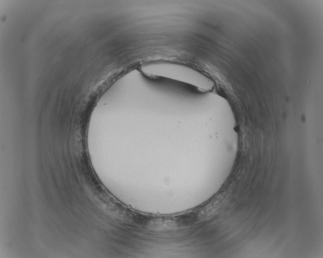 X0000068730354200605262031